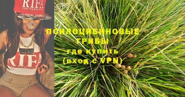 гидропоника Белокуриха