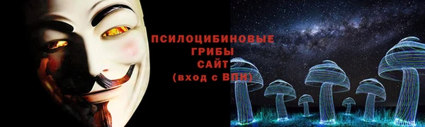 прущие крисы Богородск