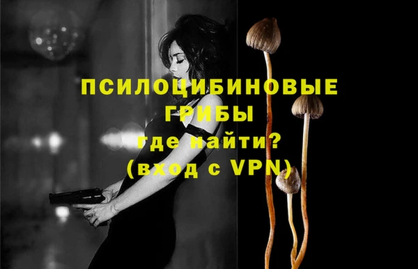 гидропоника Белокуриха