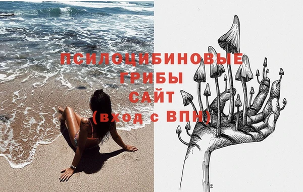 не бодяженный Богданович