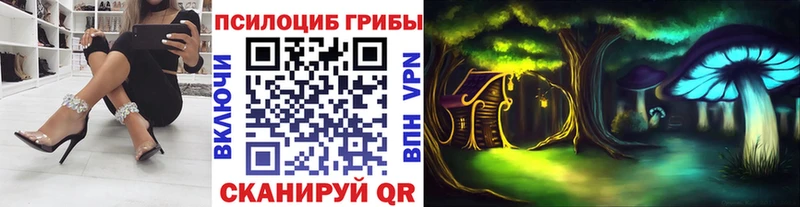блэк спрут как войти  Хадыженск  Псилоцибиновые грибы Magic Shrooms  купить наркоту 
